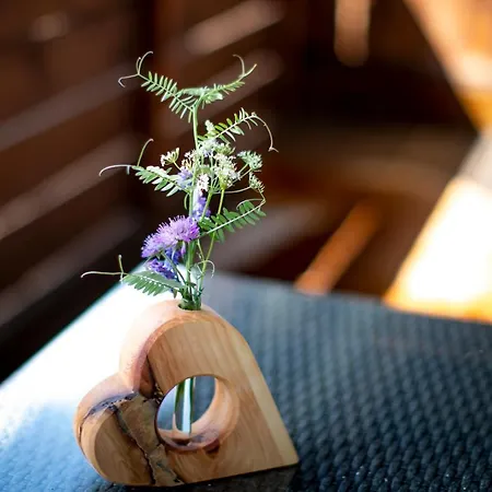 Bergblick Ruhe Und Aussicht Auf 1100m