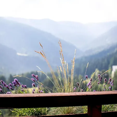 Bergblick Ruhe Und Aussicht Auf 1100m Sankt Lorenzen ob Murau