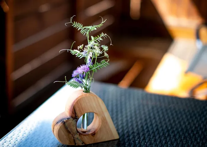 Bergblick Ruhe Und Aussicht Auf 1100m