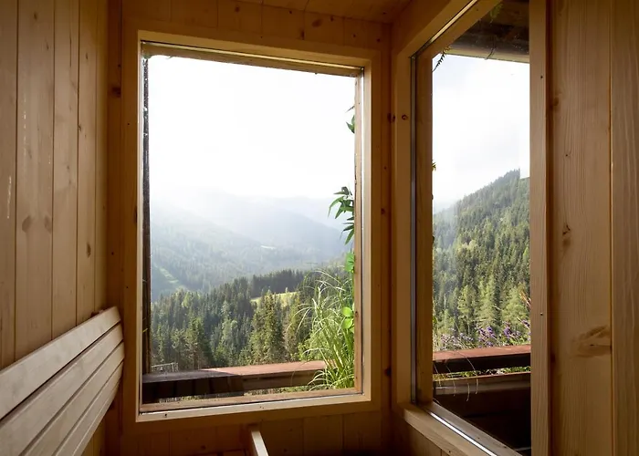 Bergblick Ruhe Und Aussicht Auf 1100m *