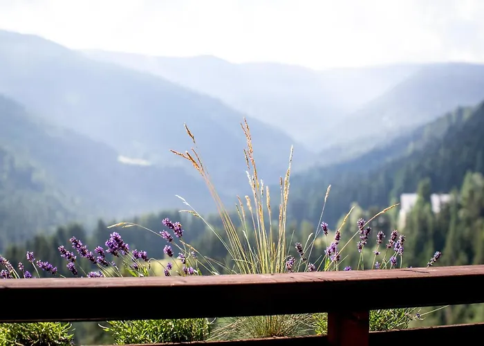 Bergblick Ruhe Und Aussicht Auf 1100m Sankt Lorenzen ob Murau