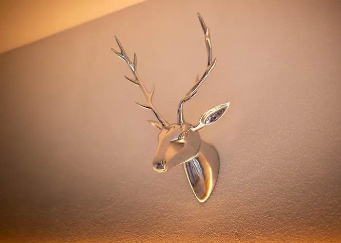 Bergblick Ruhe Und Aussicht Auf 1100m 公寓 *